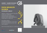 GALERIE 4|Pavel Brunclík - Diverse